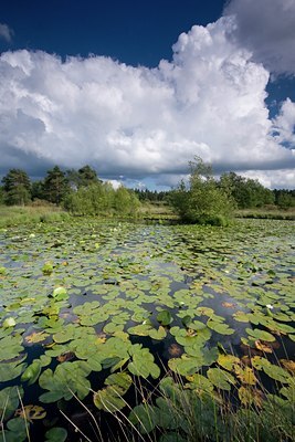 BUITEN BEELD Foto: 81274