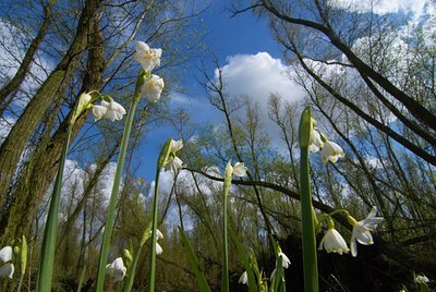 BUITEN BEELD Foto: 81442