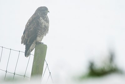 BUITEN BEELD Foto: 81455