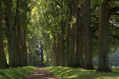 BUITEN BEELD Foto: 81514