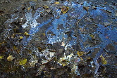 BUITEN BEELD Foto: 81553