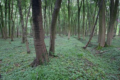 BUITEN BEELD Foto: 81574