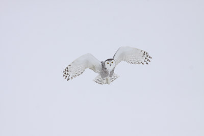 BUITEN BEELD Foto: 81893