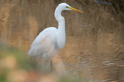BUITEN BEELD Foto: 81986