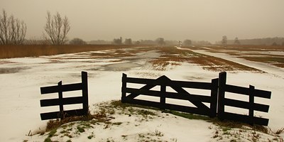 BUITEN BEELD Foto: 82026