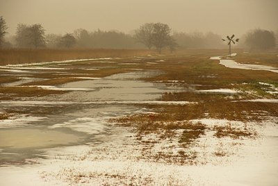BUITEN BEELD Foto: 82032