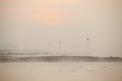 BUITEN BEELD Foto: 82058