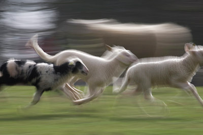 BUITEN BEELD Foto: 82148