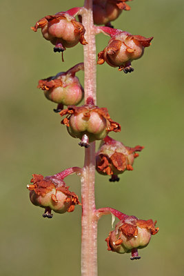 BUITEN BEELD Foto: 82168