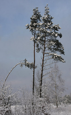 BUITEN BEELD Foto: 82201
