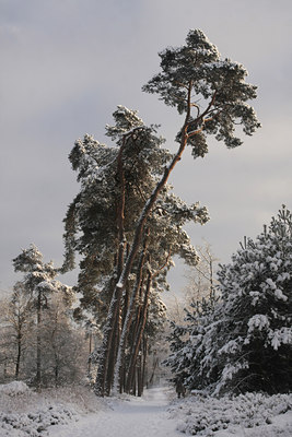 BUITEN BEELD Foto: 82202