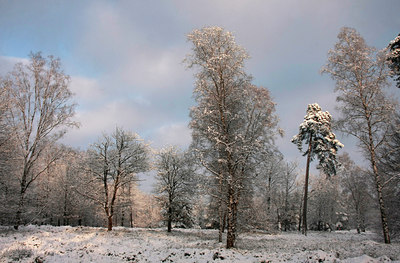 BUITEN BEELD Foto: 82207