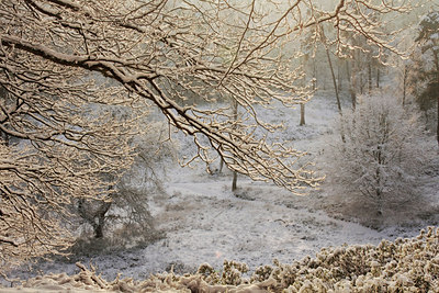 BUITEN BEELD Foto: 82208