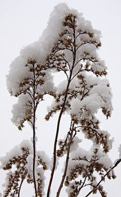 BUITEN BEELD Foto: 82225