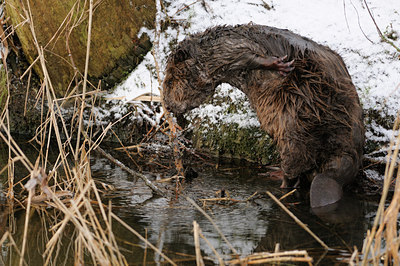 BUITEN BEELD Foto: 82280