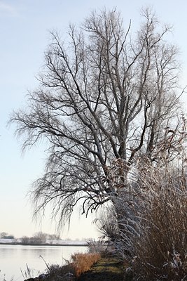BUITEN BEELD Foto: 82299