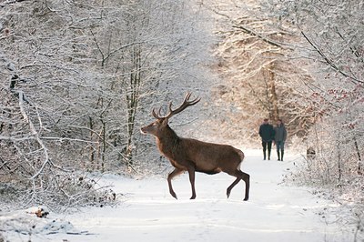 BUITEN BEELD Foto: 82303