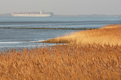 BUITEN BEELD Foto: 82437
