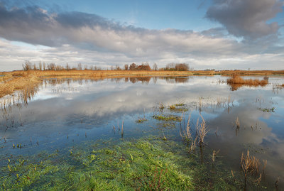 BUITEN BEELD Foto: 82438