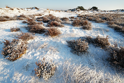 BUITEN BEELD Foto: 82448