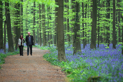 BUITEN BEELD Foto: 82453