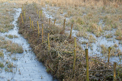 BUITEN BEELD Foto: 82475