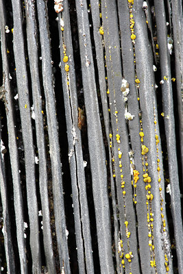 BUITEN BEELD Foto: 82484