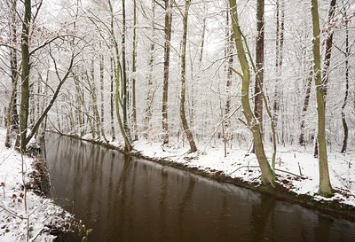 BUITEN BEELD Foto: 82499