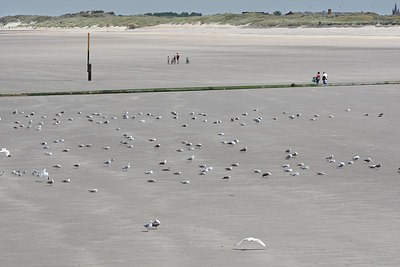 BUITEN BEELD Foto: 82503