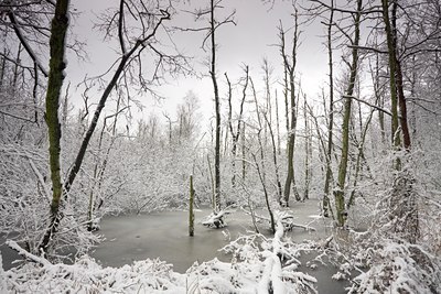 BUITEN BEELD Foto: 82505