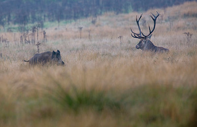 BUITEN BEELD Foto: 82507