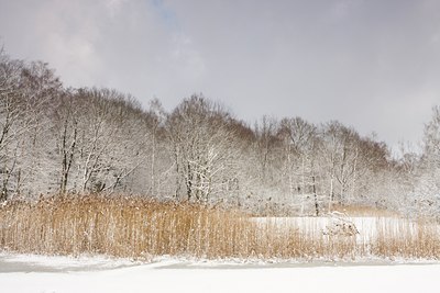 BUITEN BEELD Foto: 82511