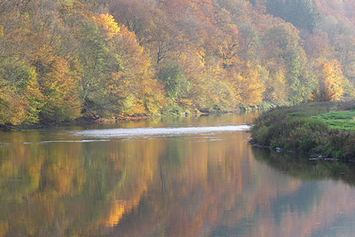 BUITEN BEELD Foto: 82516