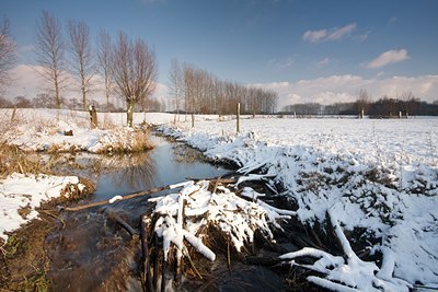 BUITEN BEELD Foto: 82527