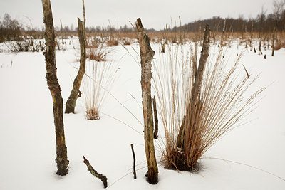 BUITEN BEELD Foto: 82533