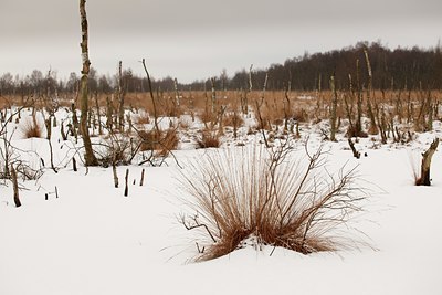 BUITEN BEELD Foto: 82534