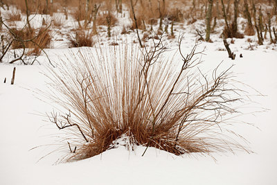 BUITEN BEELD Foto: 82540