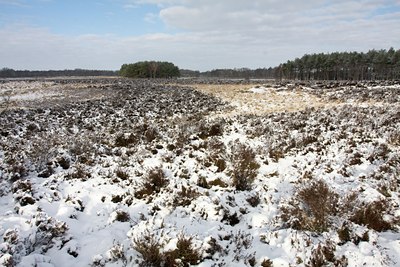 BUITEN BEELD Foto: 82568