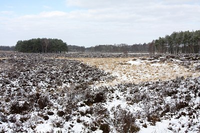 BUITEN BEELD Foto: 82569