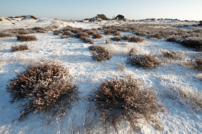 BUITEN BEELD Foto: 82582