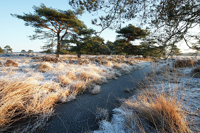 BUITEN BEELD Foto: 82584