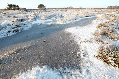 BUITEN BEELD Foto: 82627