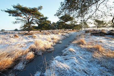 BUITEN BEELD Foto: 82628