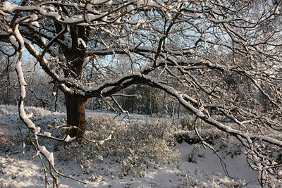 BUITEN BEELD Foto: 82668