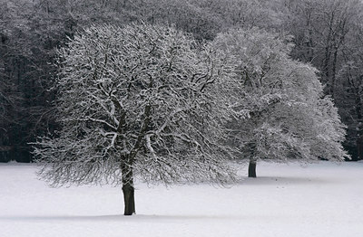 BUITEN BEELD Foto: 82673