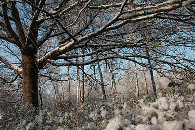 BUITEN BEELD Foto: 82679