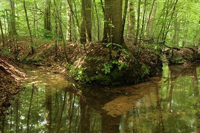 BUITEN BEELD Foto: 82686