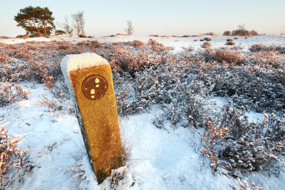 BUITEN BEELD Foto: 82711