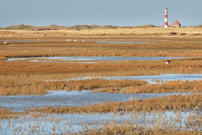 BUITEN BEELD Foto: 82722
