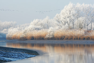 BUITEN BEELD Foto: 82726
